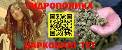 стафф Аргун