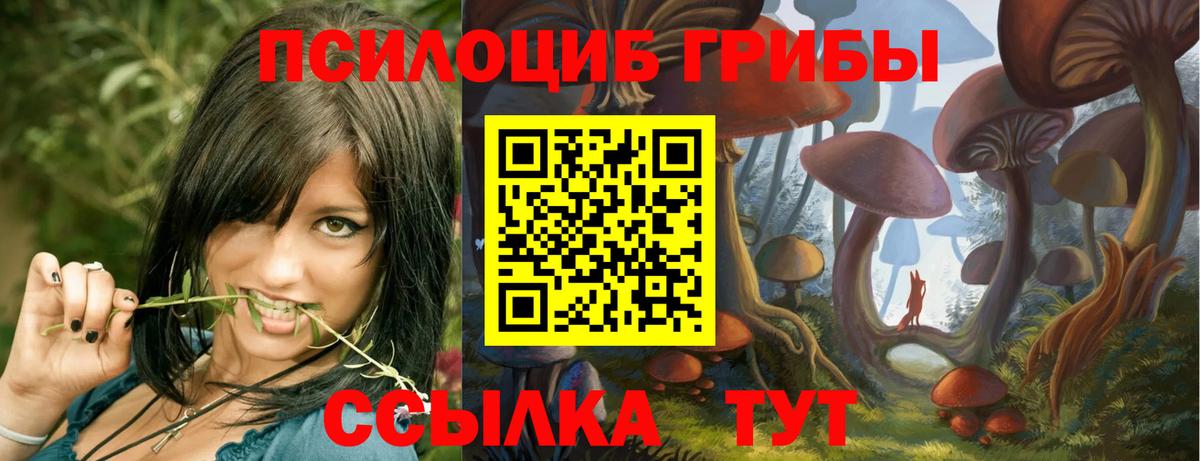Выкса  Галлюциногенные грибы прущие грибы  где найти наркотики  Вход с VPN 