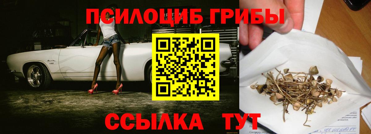 Псилоцибиновые грибы Psilocybine cubensis Выкса